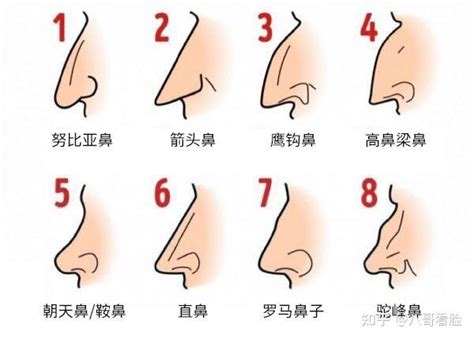 鼻子面向|【鼻子 面向】5種註定好命的鼻型有事業 